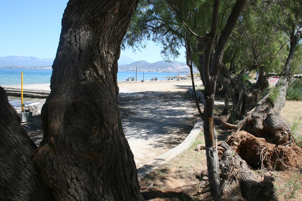 Chalkida Apartments Luaran gambar